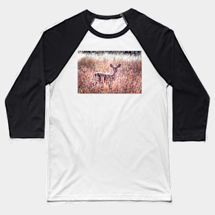 Deer in wild grass Baseball T-Shirt